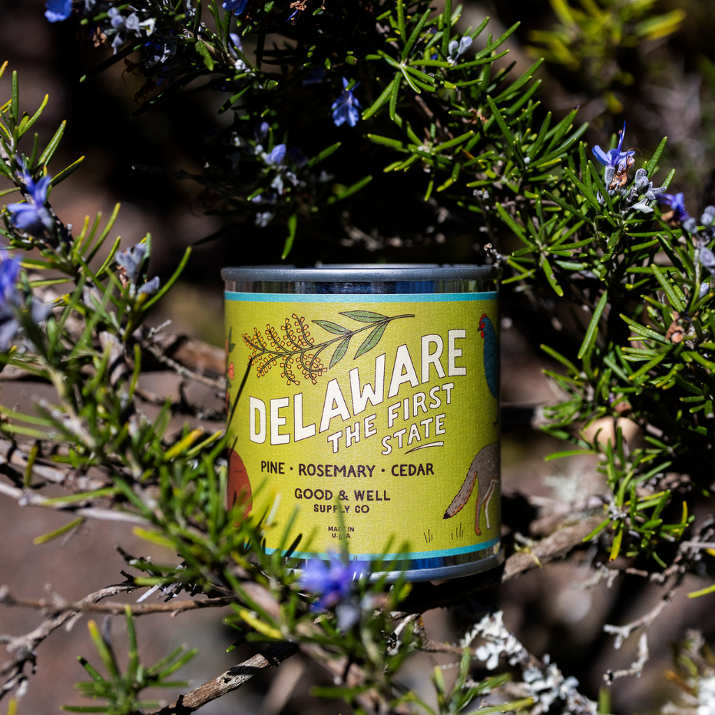 Delaware State Candle