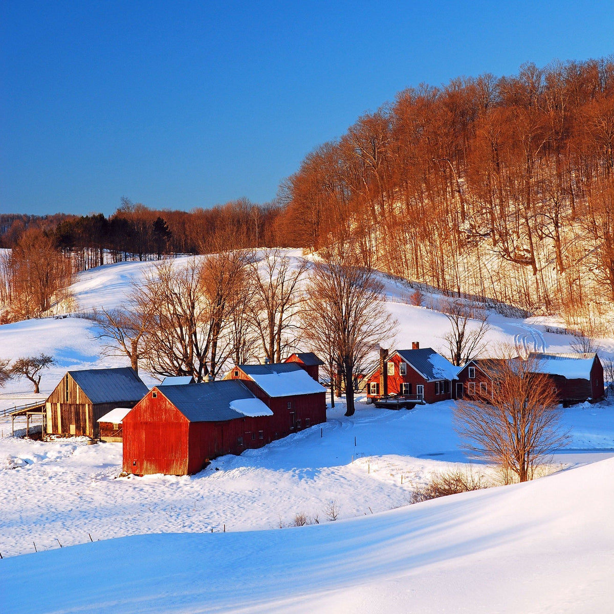 New England: Winter Adventure Candle Gift Set